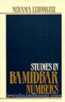 New Studies in Bamidbar